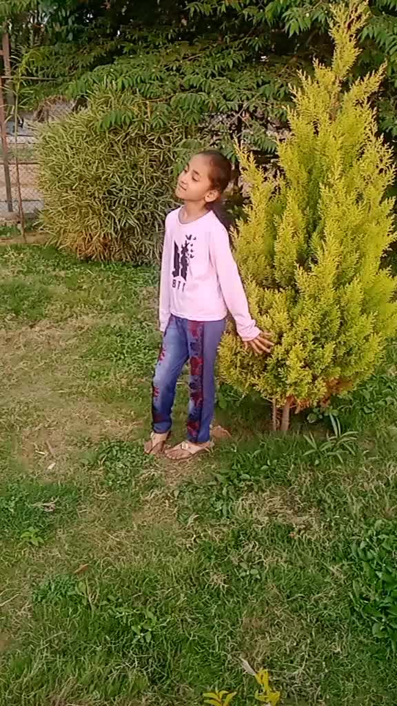 @sunita deuba