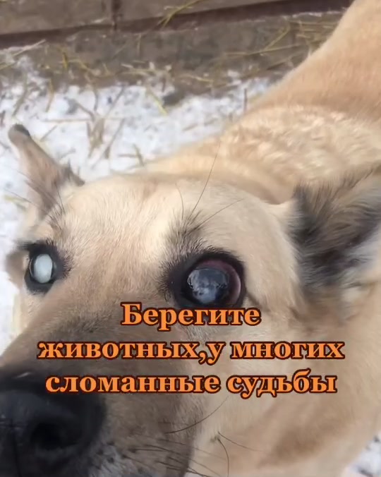 @artem_smurom