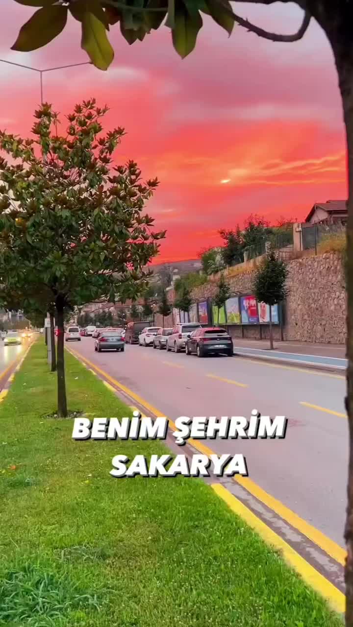 @bozasena54