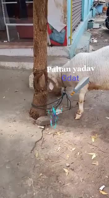 @Srikanth Yadav