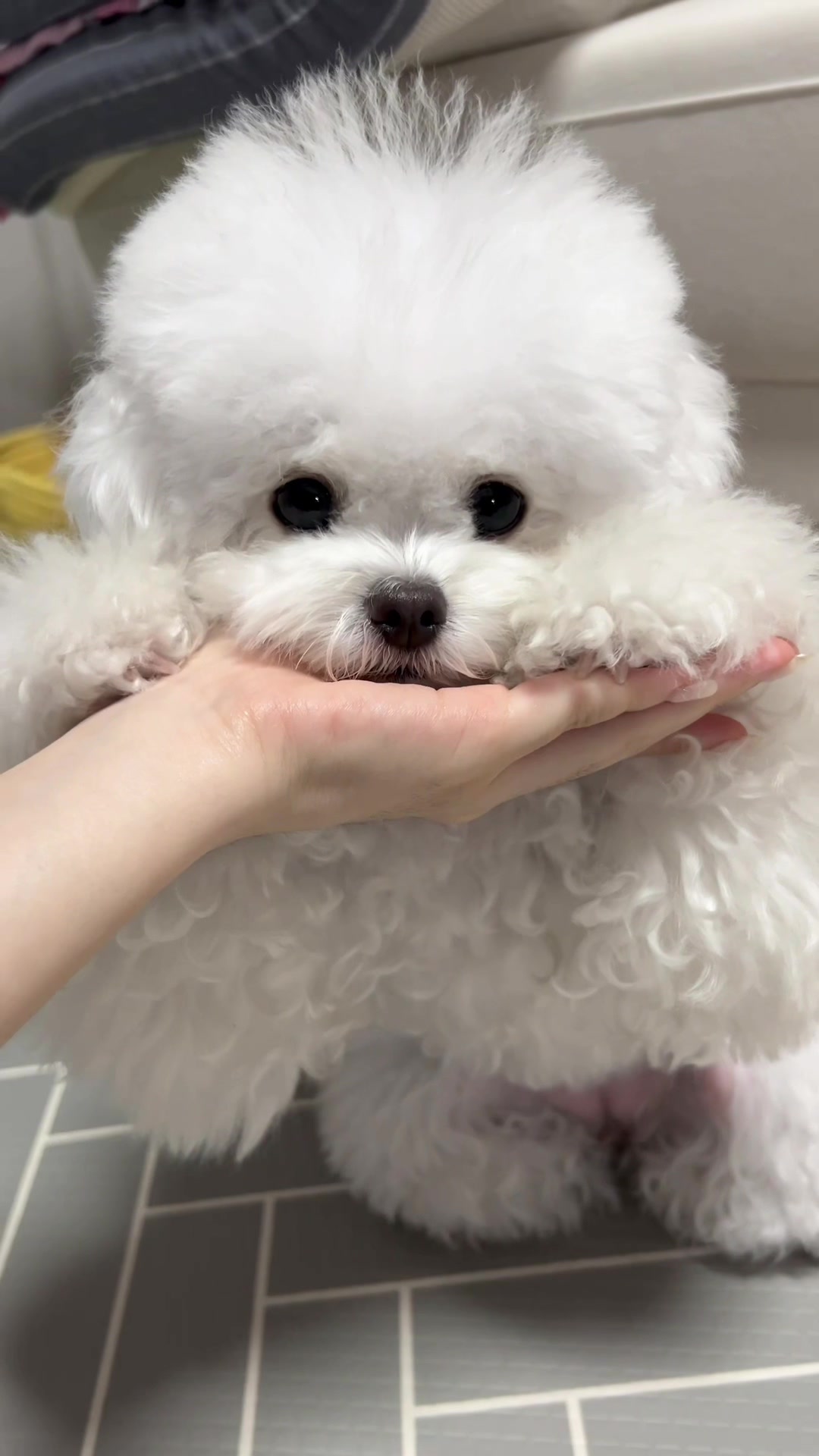 @메리하리