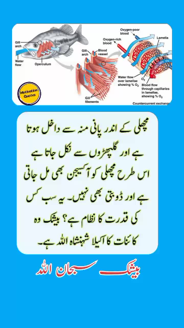 @Motivation Qoutes