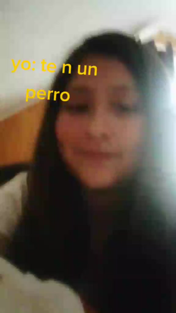 @isi dog