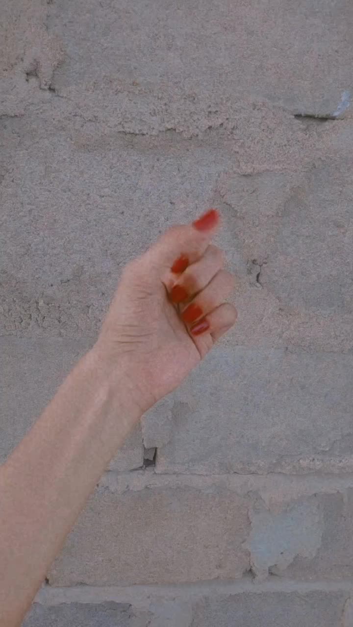 @Haya Fatima Haya Fatima