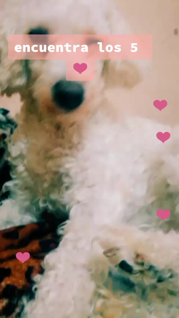 @Princesadulce&mdash;