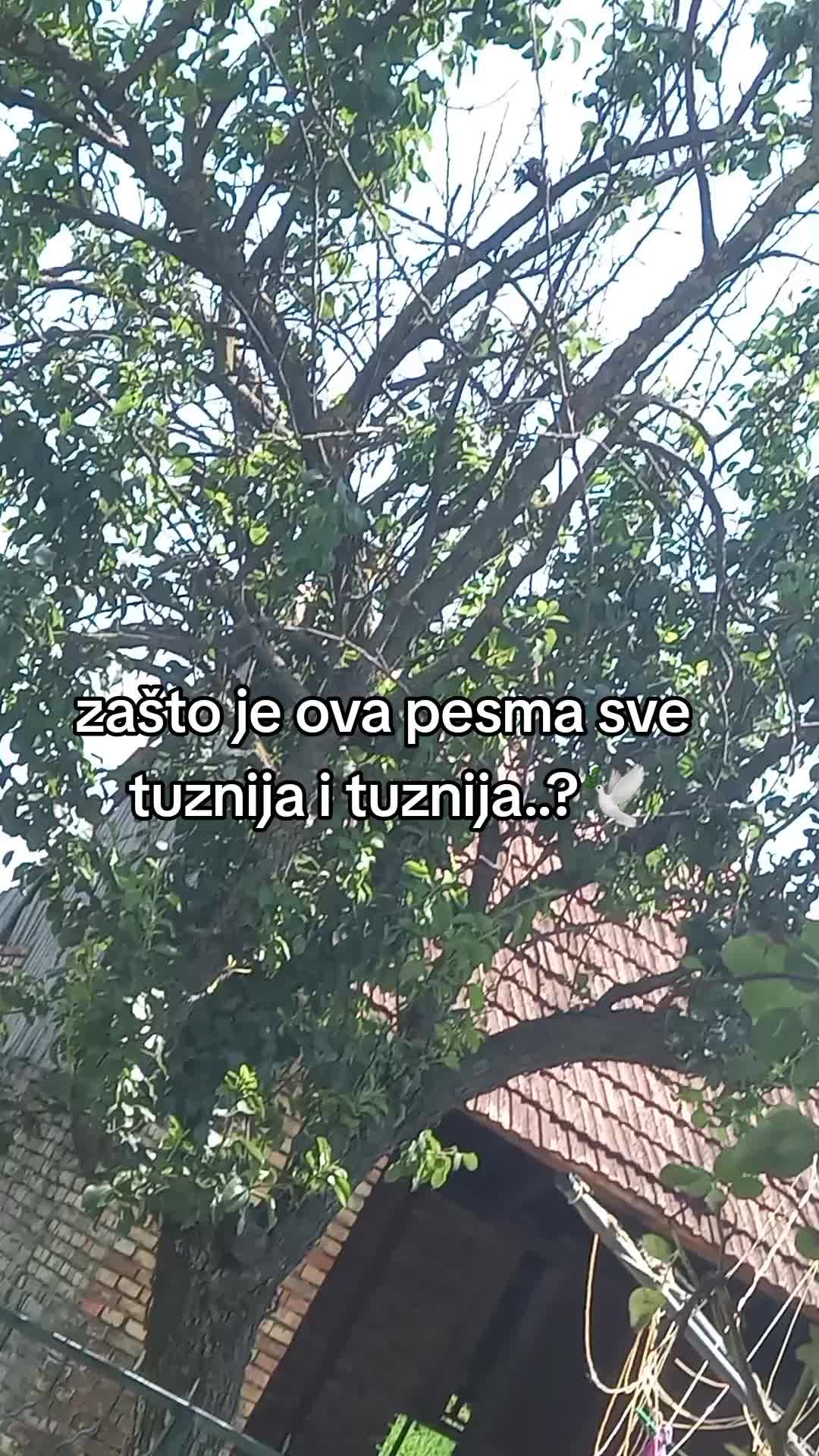 @user92512078531