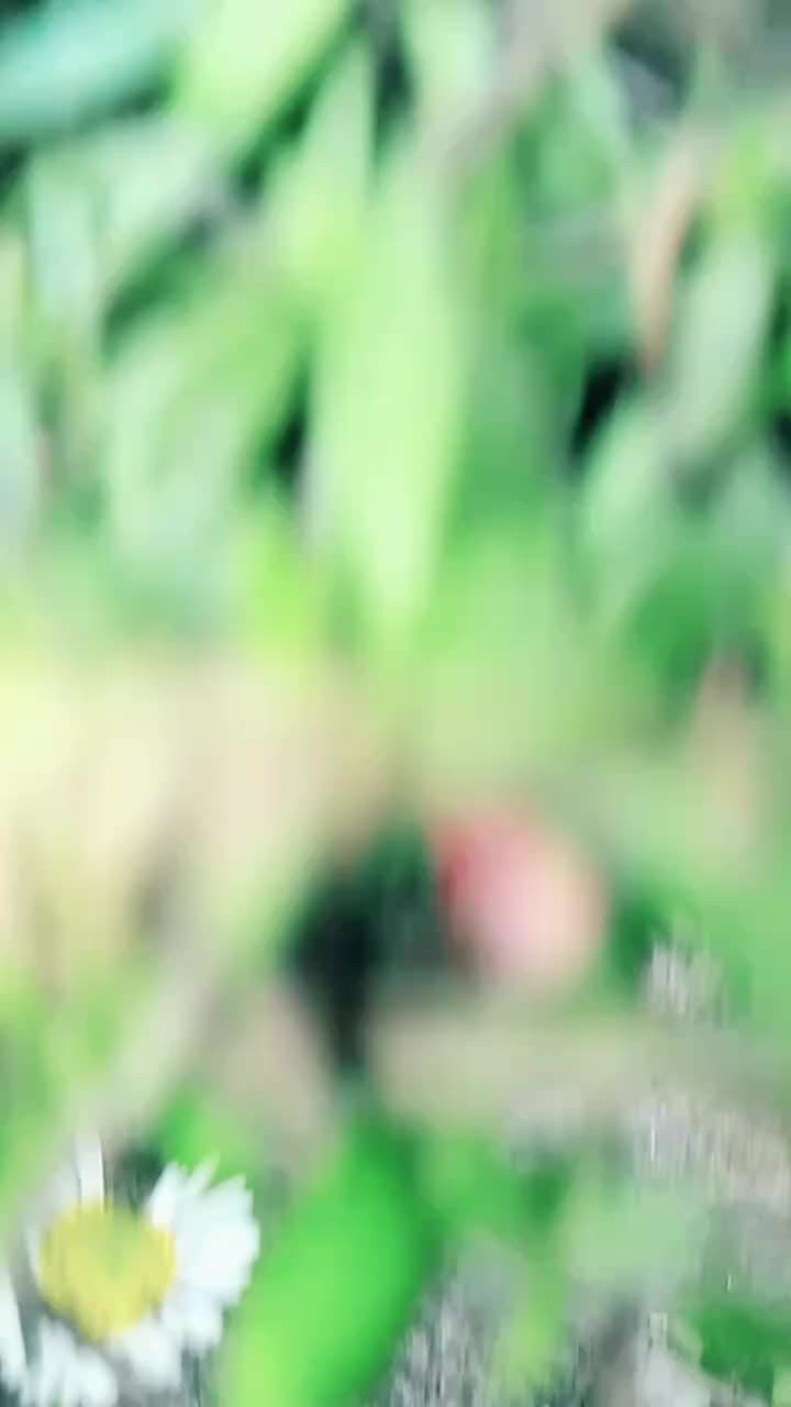@Anjali singhaniya