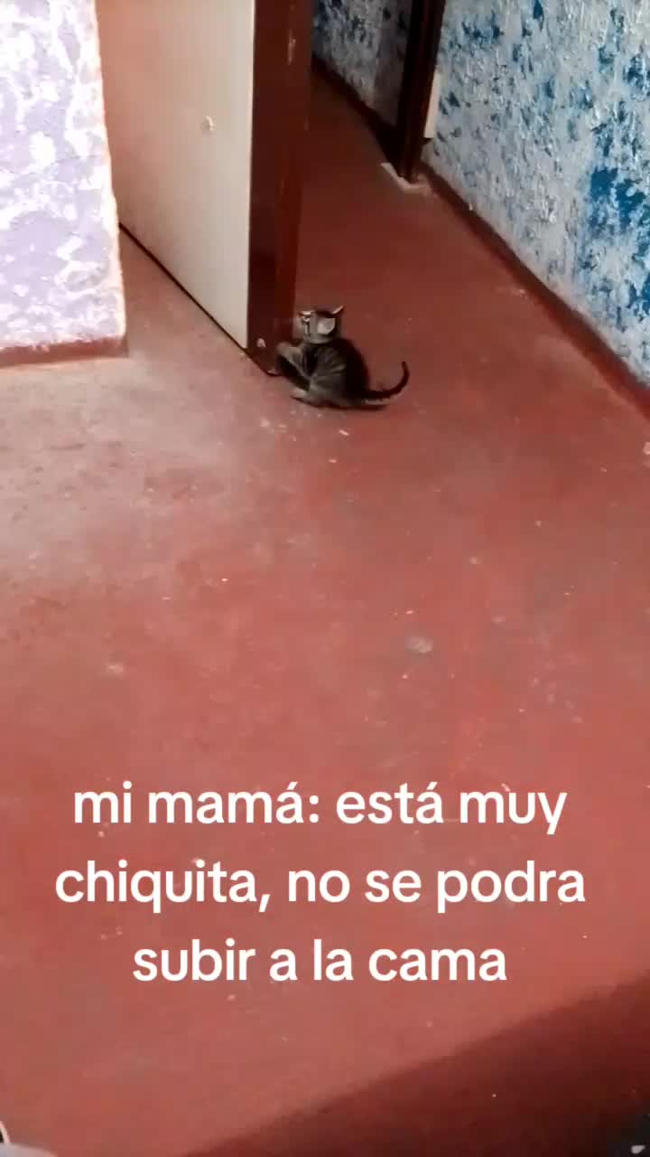 @maye8822