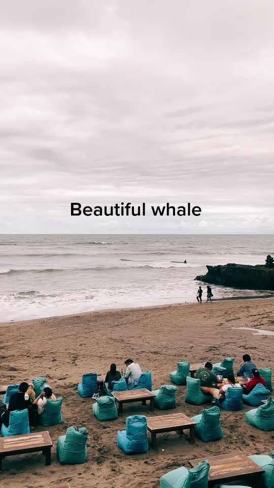 @Joel Barrett