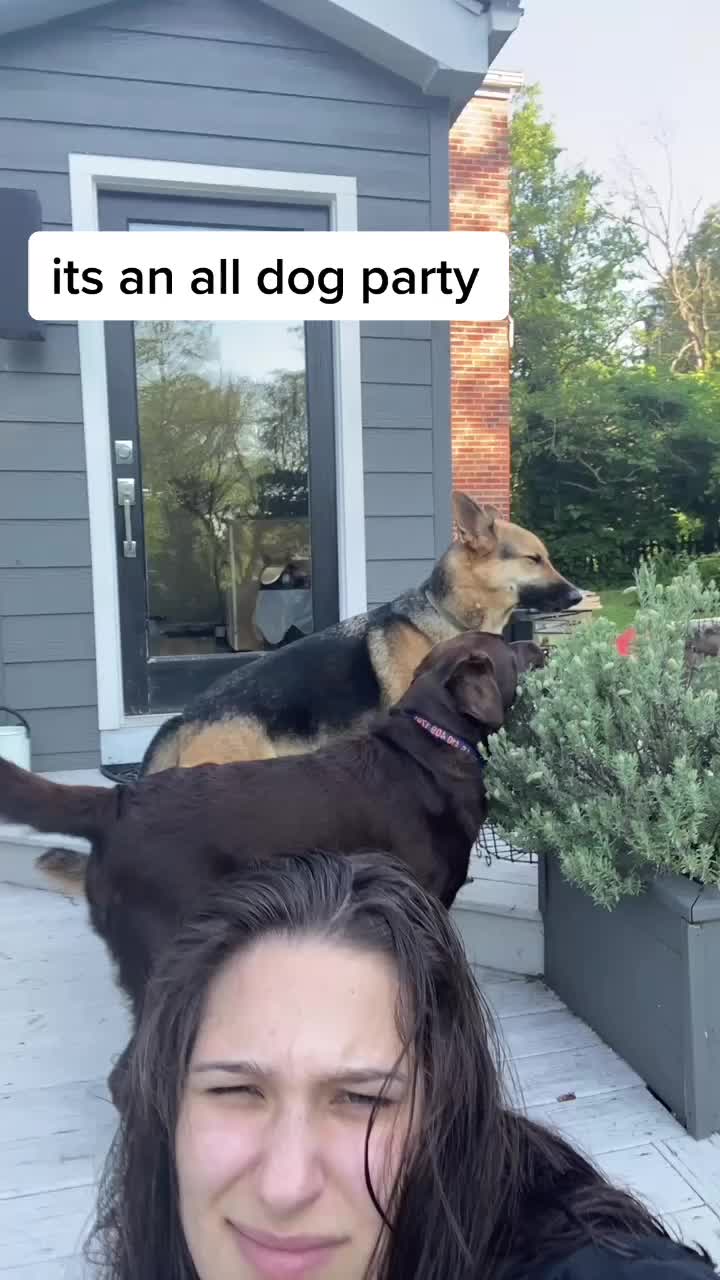 @sqrrlgrl