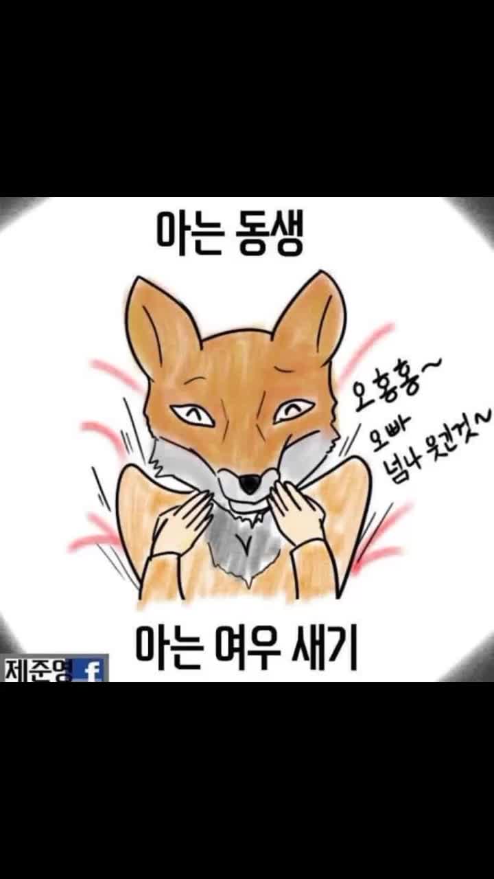 @고먐미