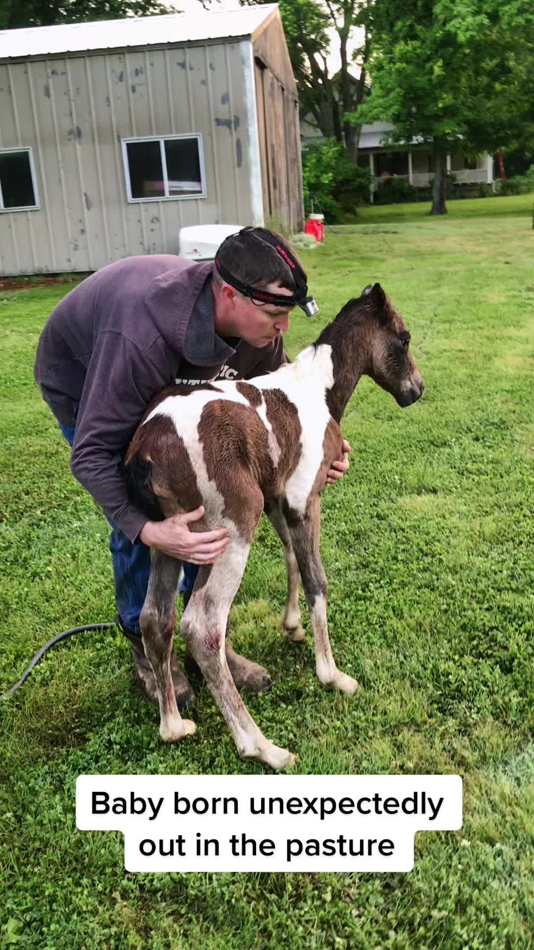 @ThePaintedAcresRanch