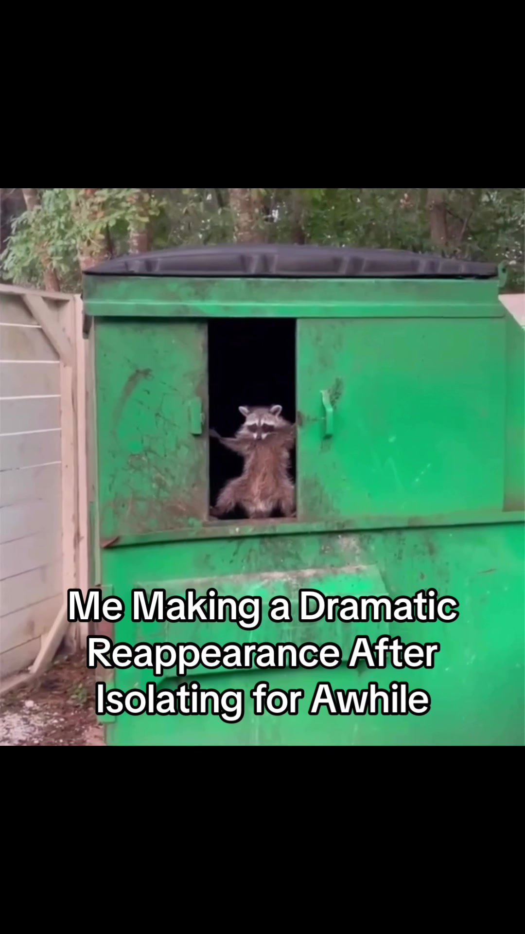 @â©âðŒâ© ð¿ðžðð» â©âðŒâ©