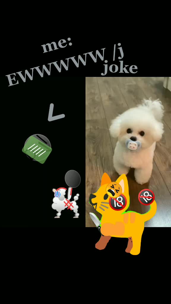 @inceiryz_hate_animals