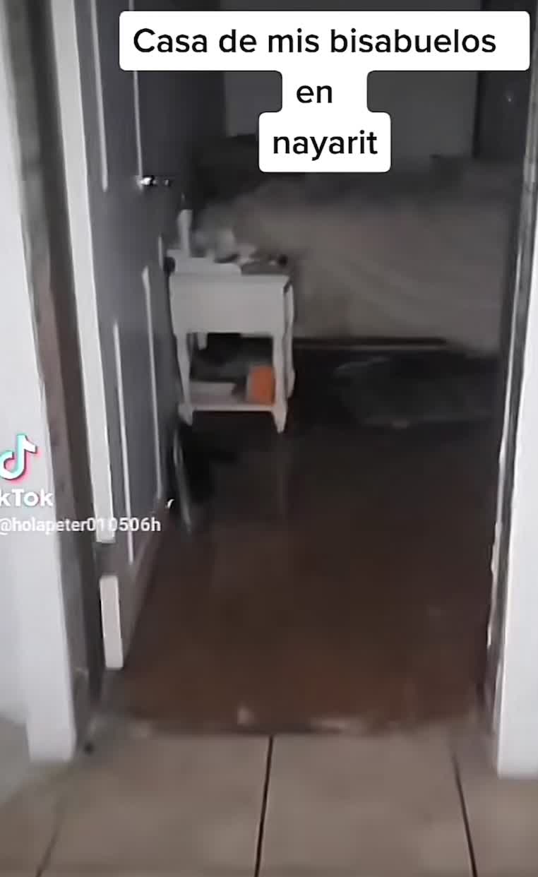 @Scary Cucuy