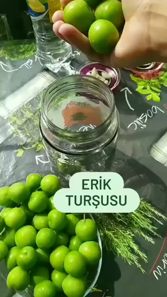 @🇹🇷Sebahat🇹🇷