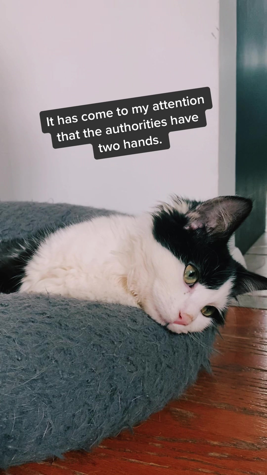 @Tilted_Hank