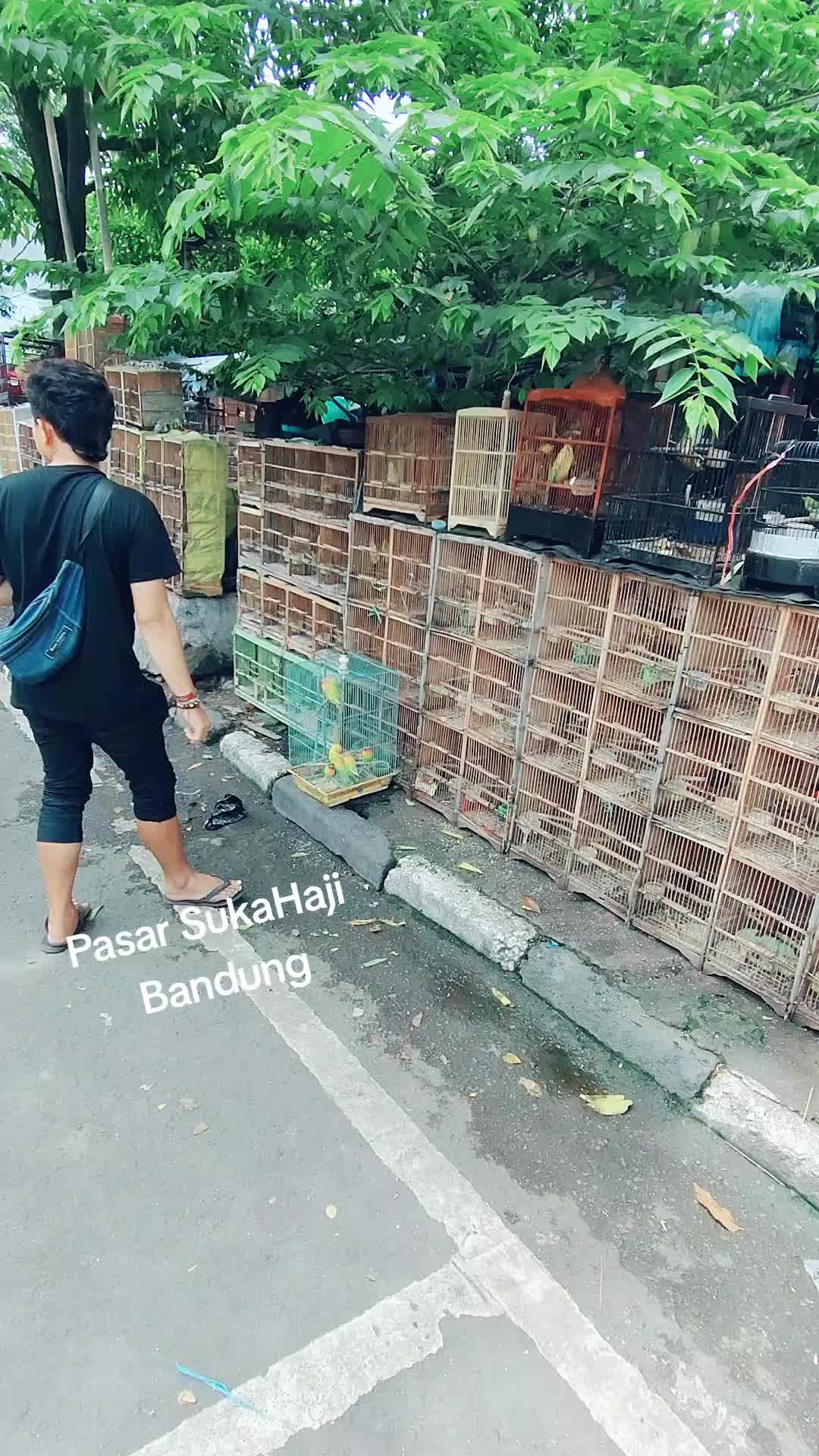 @Didi’sHobbies