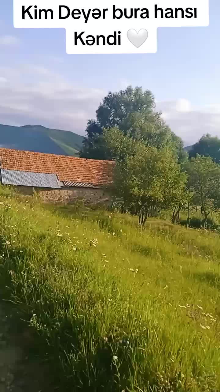 @Papatyam🌼🌝
