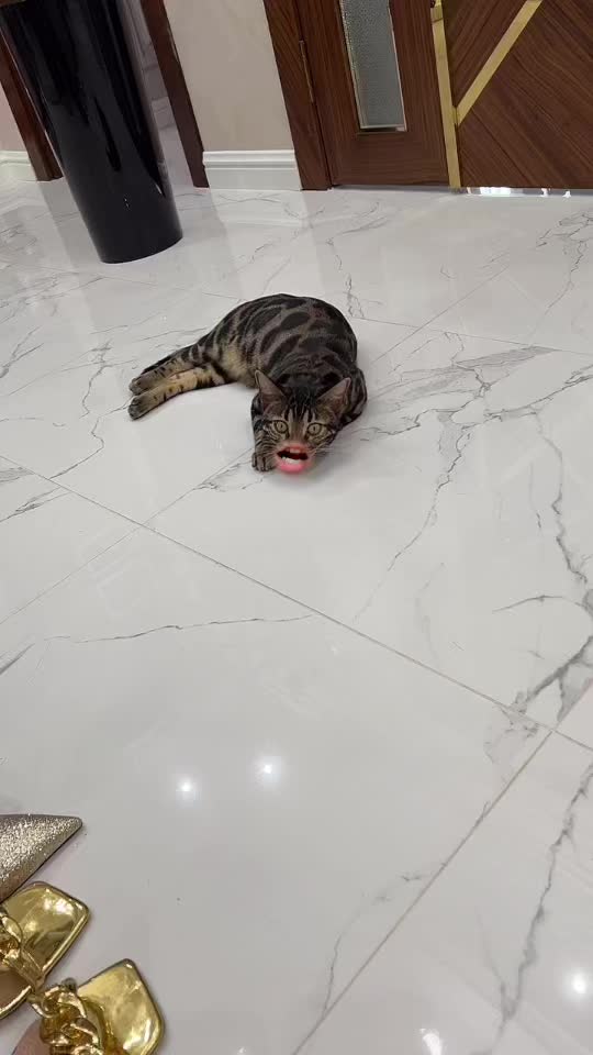@๐
๐
ข๐
๐
๐
๐
๐
๐
๐
จ