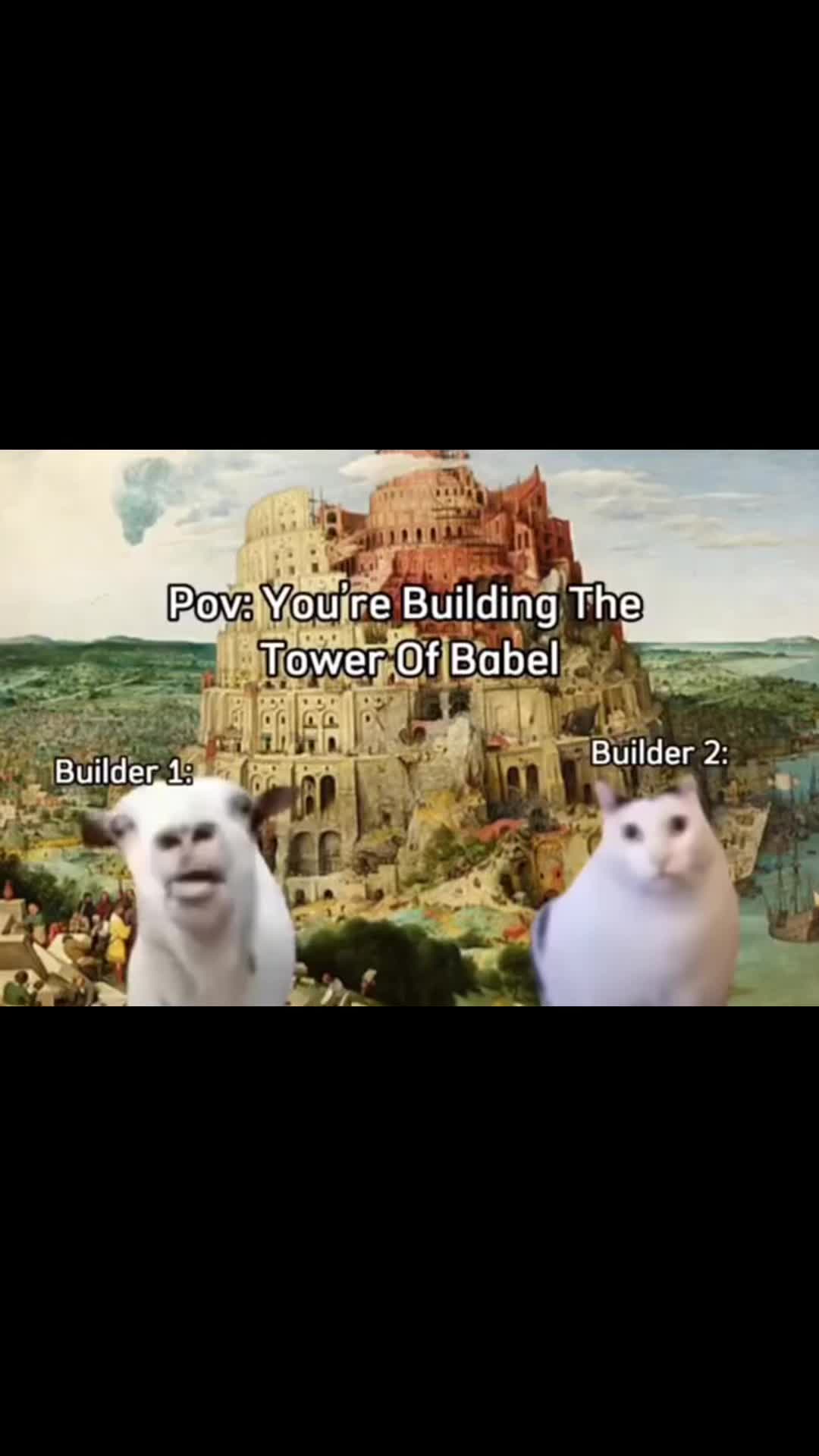 @ViralHumorHub