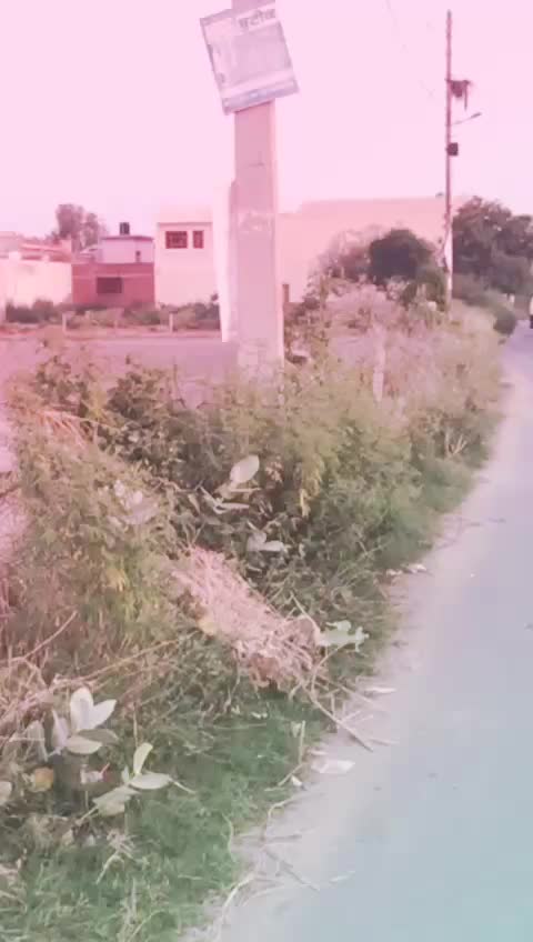 @preet refugee