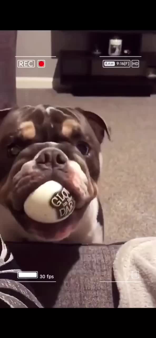 @fyygg12