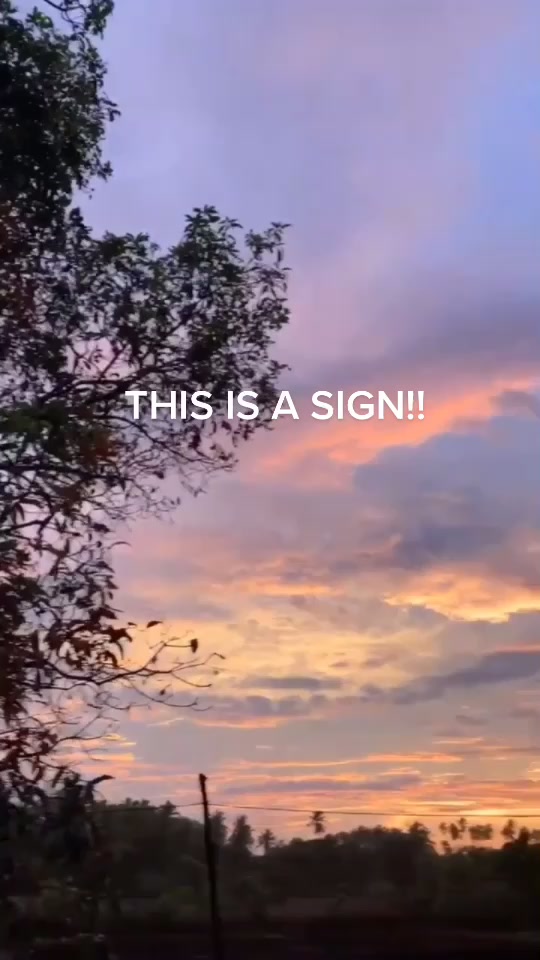 @🦋