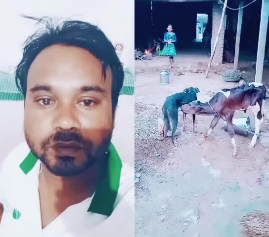 @Aswani Sharma