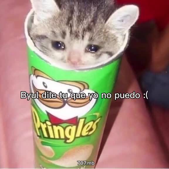 @🐹707🐹