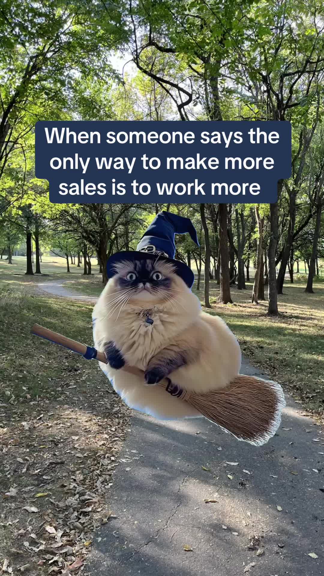 @Alicia | Content Marketing