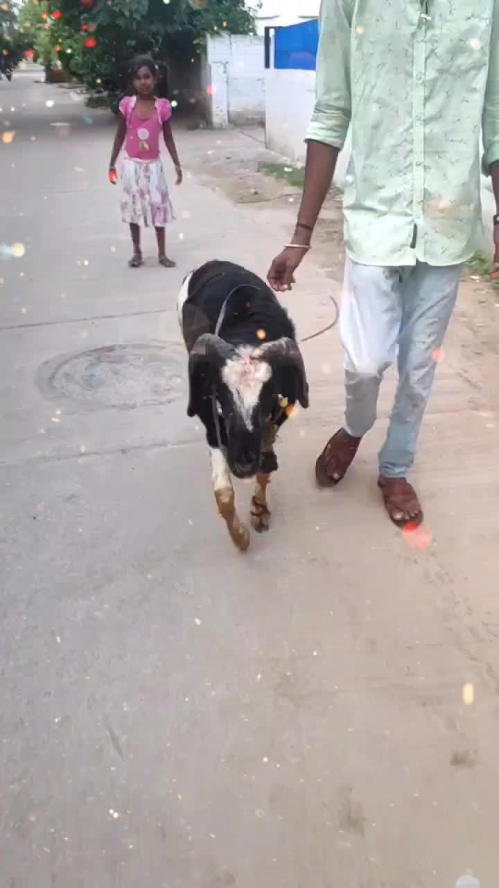 @hayathnagar nikhil dio