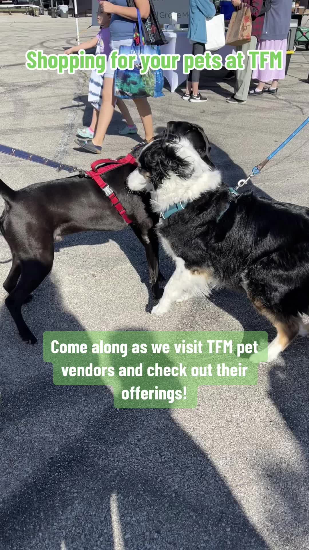 @Texas Farmers Market