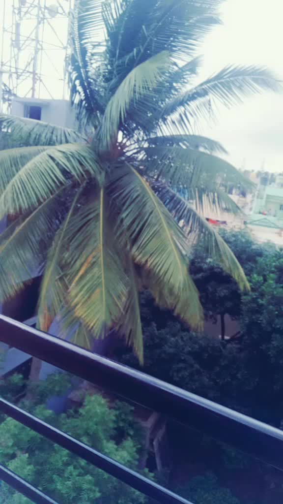 @Jyothi Jo