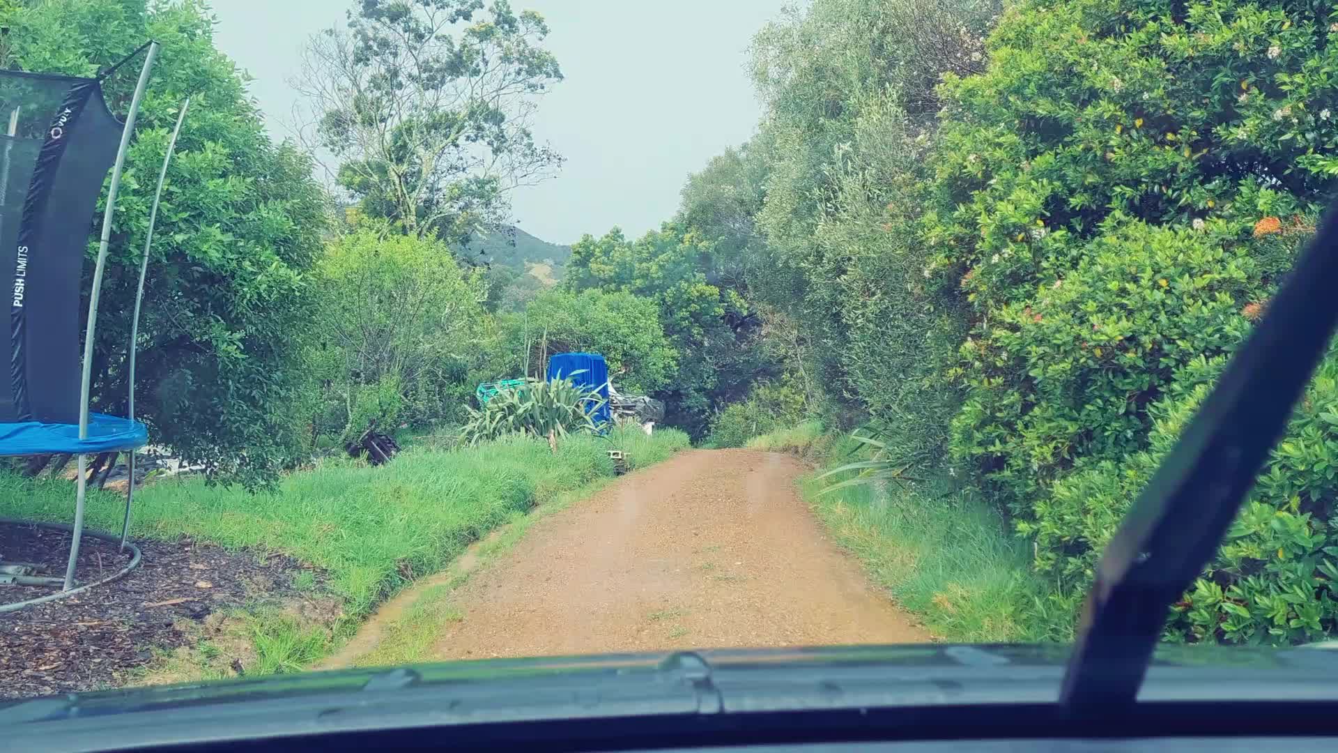 @Courier Driver in Paradise
