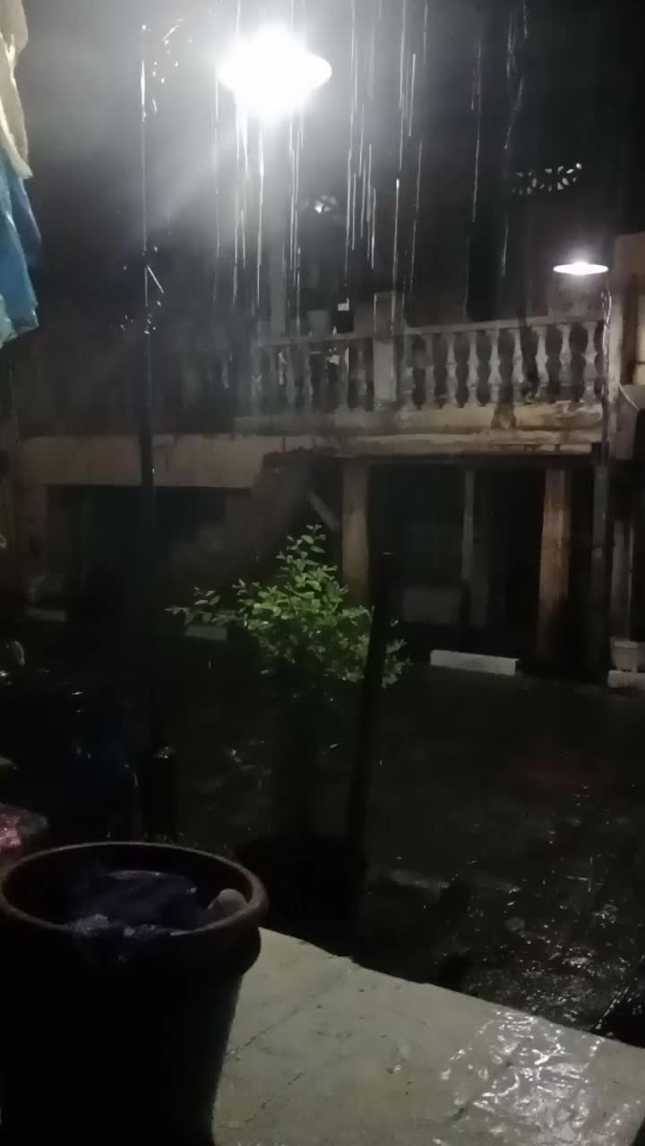 @๐๐ข๐ญ๐ญ๐ฅ๐ ๐๐๐๐๐ข๐ญ