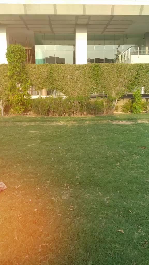 @👑💪दीपक प्रजापति👑?