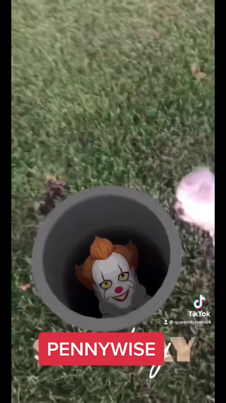 @Tobybobbydog