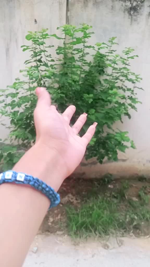 @kiran Adhikari