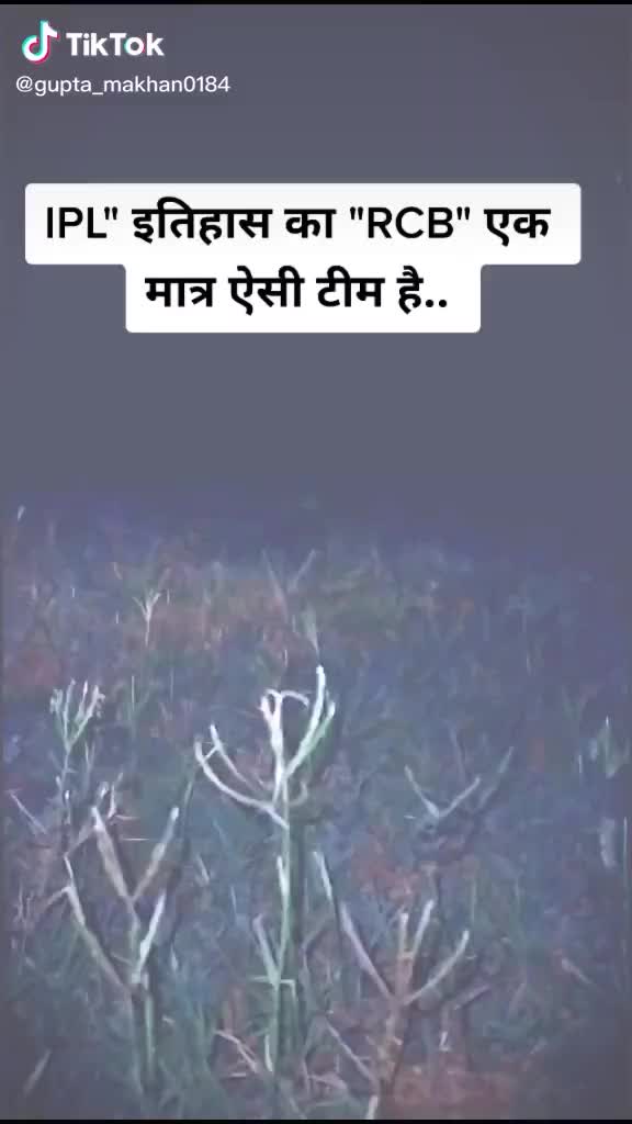 @qamrul hasan siddiqi