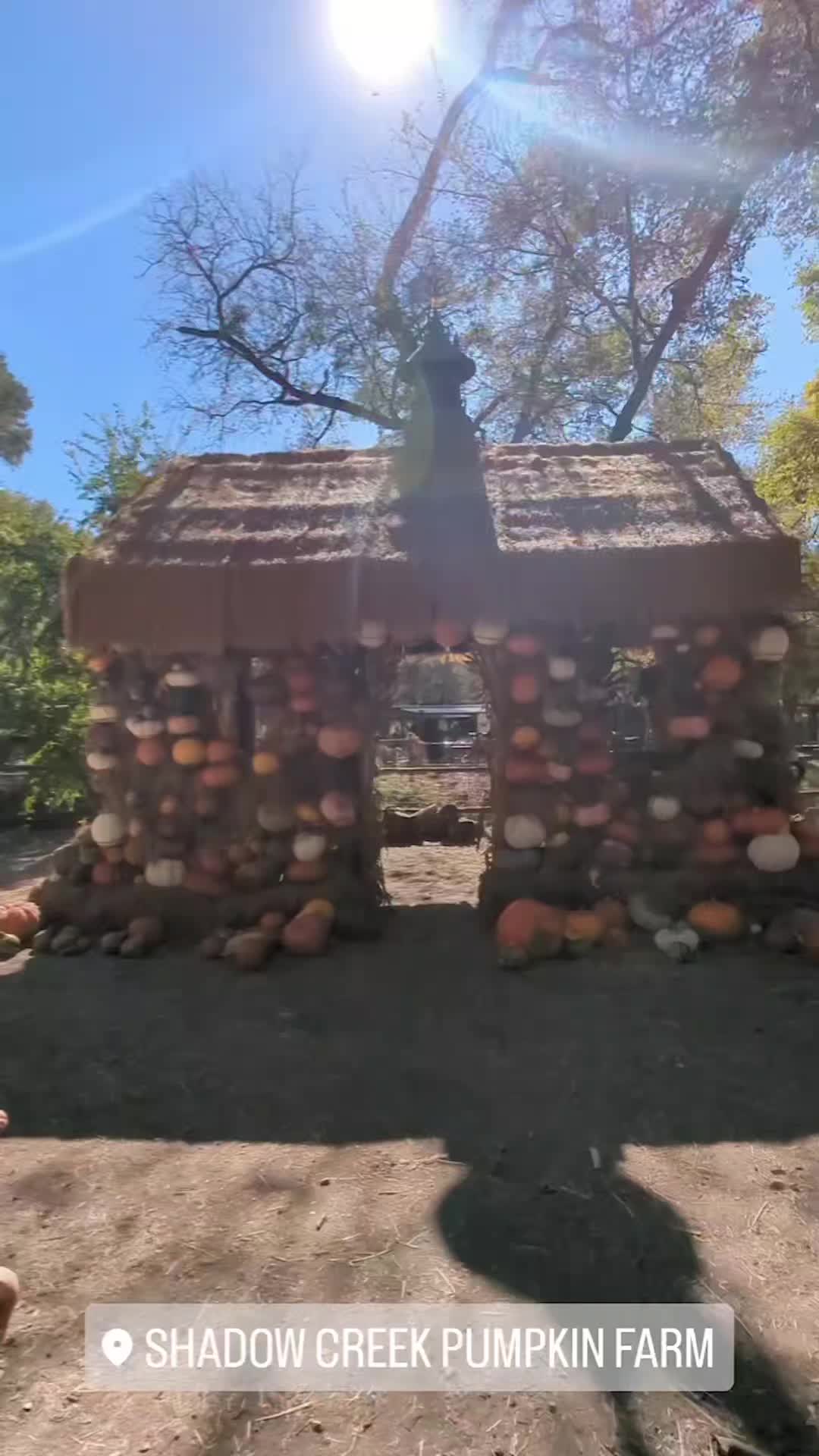 @xoxotravelingjoneses