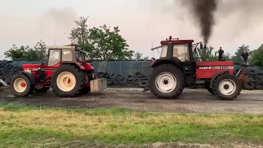 @Bauer Günther