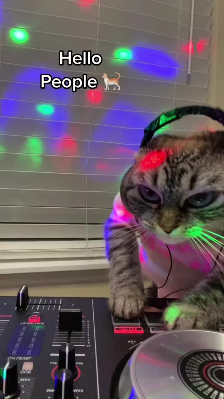 @Cat Lucy