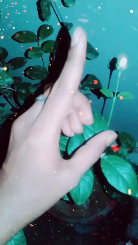 @puja