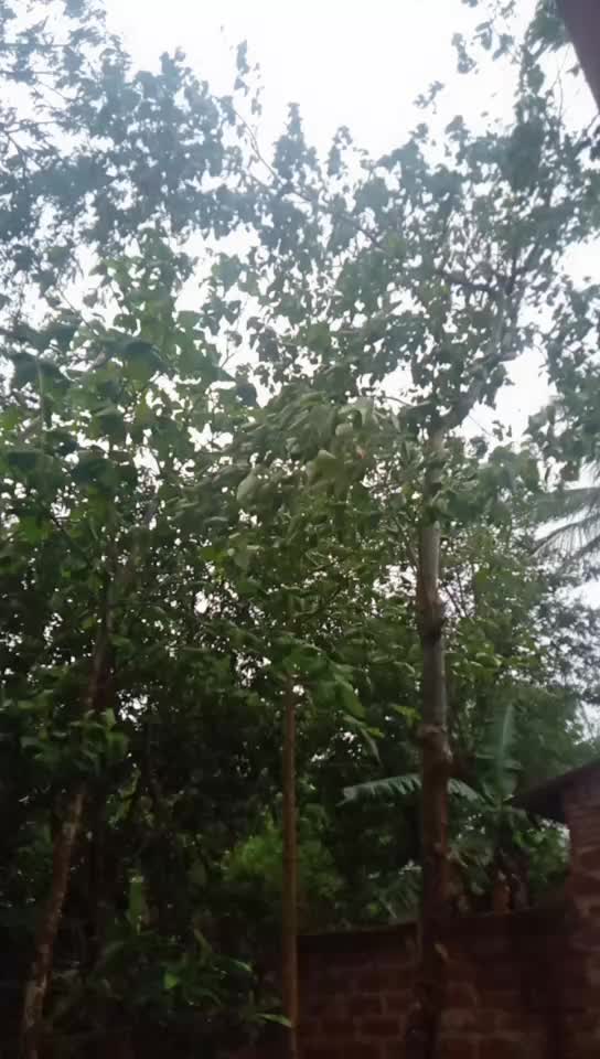 @Sunil Bardhan