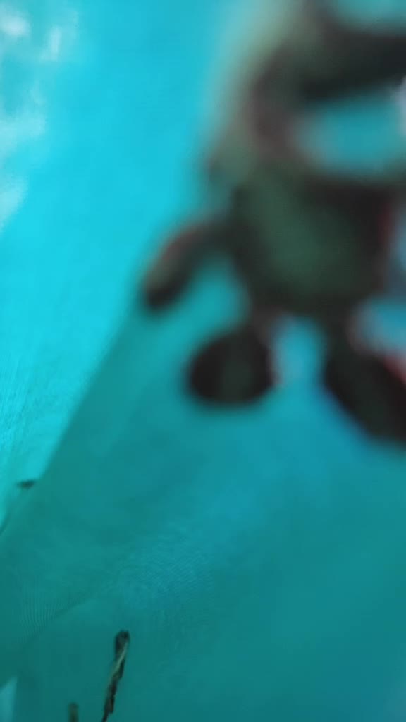 @Sôlô Sââñvîkâ