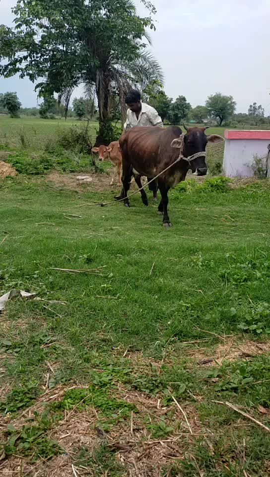 @Gabbar Malviya
