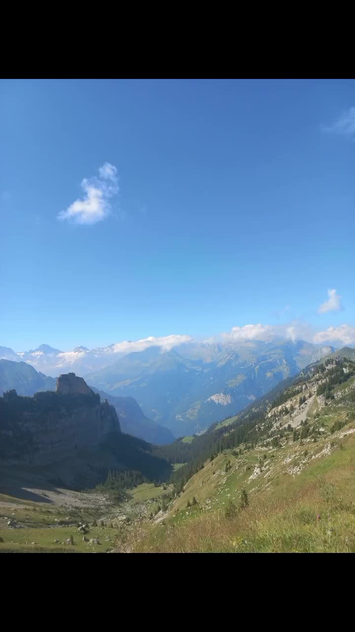 @timo moor