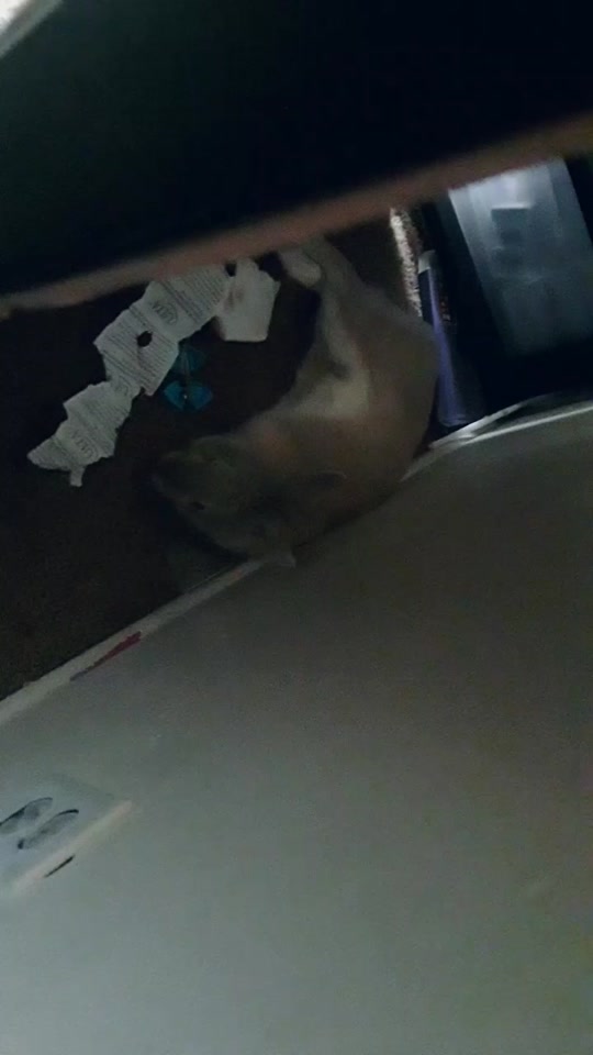 @alexthebeast