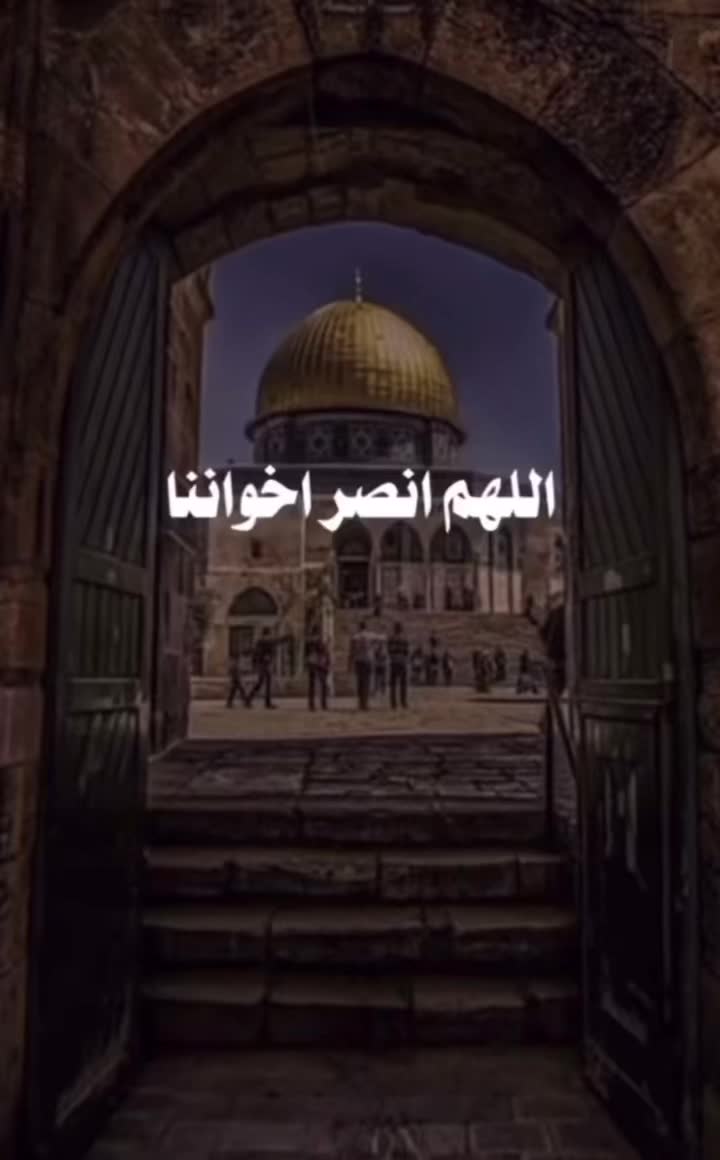 @ranaalnajjar40